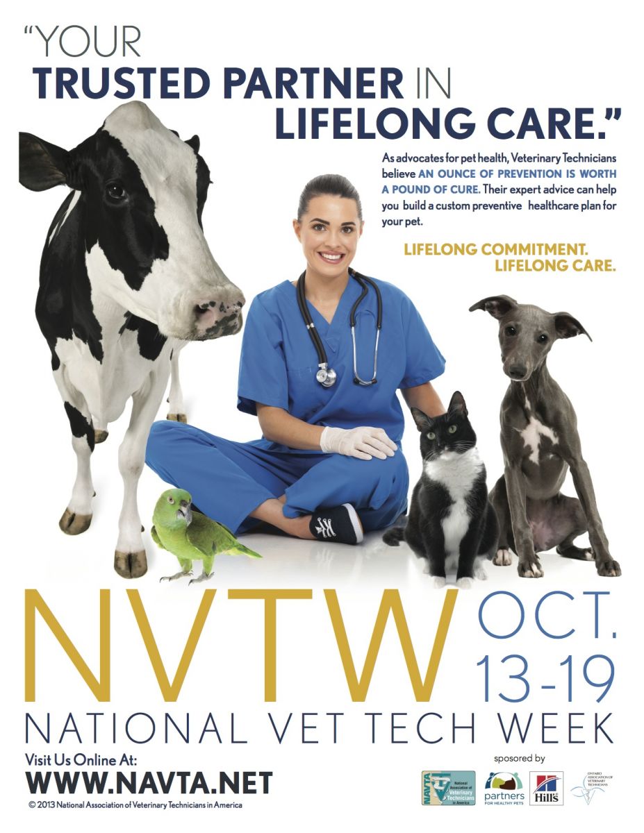 It’s National Veterinary Technician Week! PetED