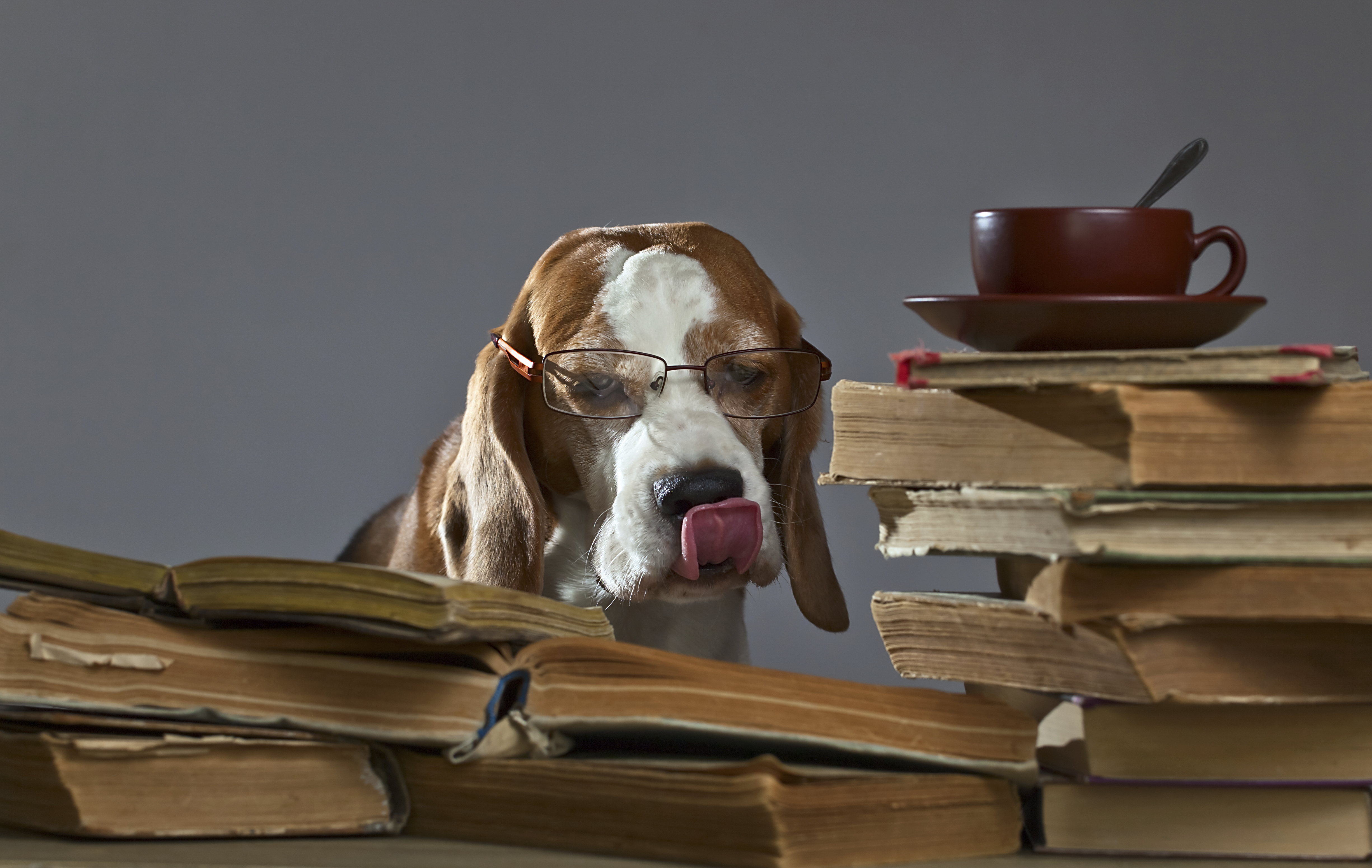 Education: We Can Teach an Old Dog New Tricks, but What About Their Owners?