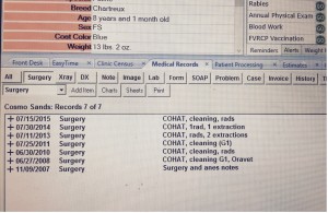 This is what the medical record of an educated client's pet looks like.